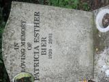 image of grave number 145253